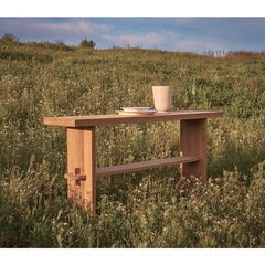 #3007 Dimma - Outdoor/Indoor Console in Teak